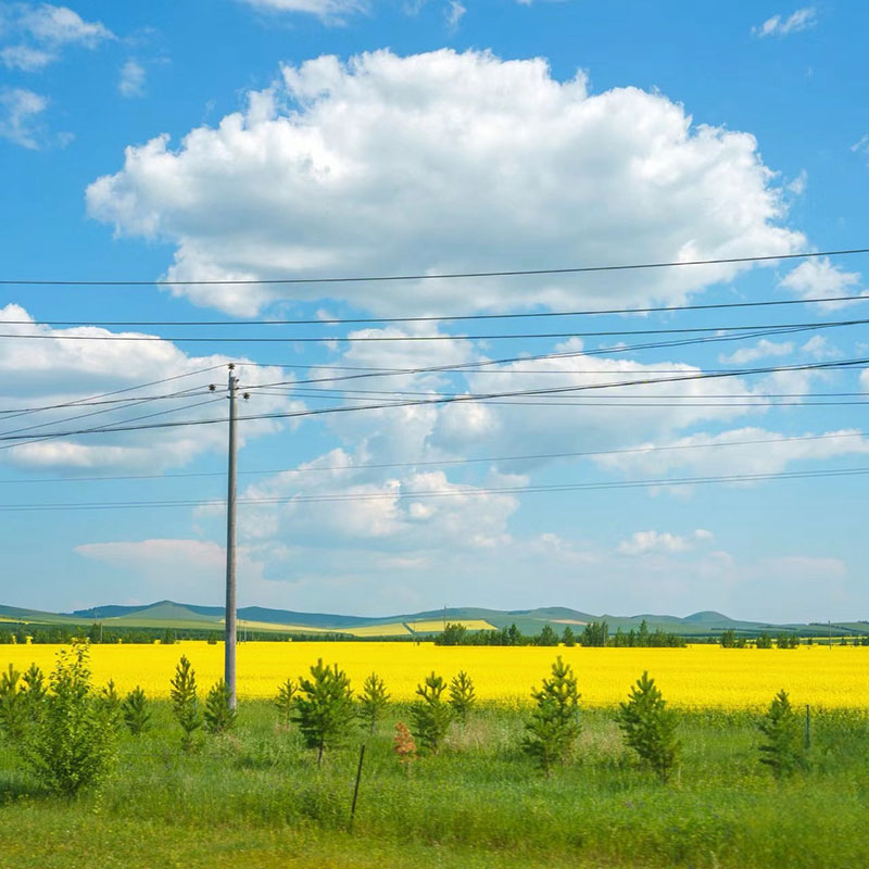 Steel Power Transmission Pole ၊